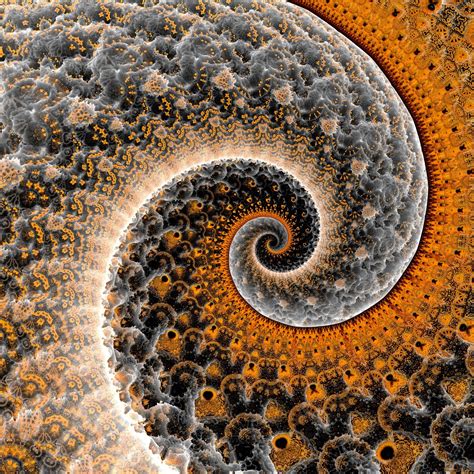 Pin by Connor Dunne on psy stuff | Fractals, Fractal art, Magical art
