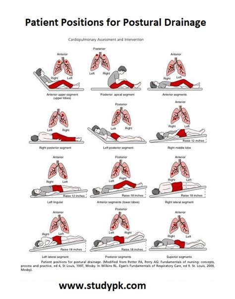 Cardiopulmonary Assessment & Intervention: Patient Positions for ...