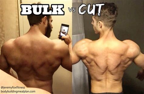 Bulk vs Cut - How to Choose the Right Fitness Goal (With Quiz)