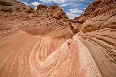 The Wave. Paria Canyon. stock image. Image of feature - 5366323