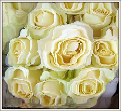 dreaming of white roses | reflection of white roses in a poo… | Flickr