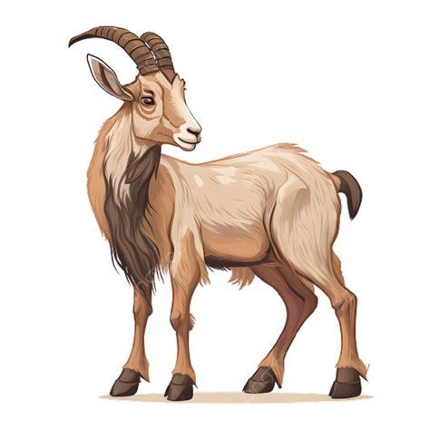 Goat Animal Brown Standing Illustration, Goat, Brown, Illustration PNG ...