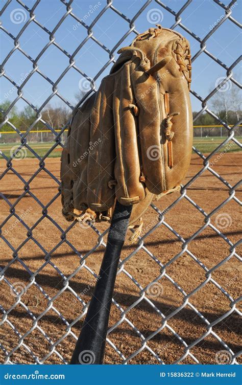 Baseball Bat and Glove stock photo. Image of leisure - 15836322