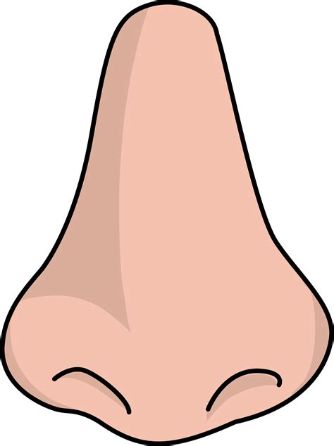 Human Nose PNG Image | Free clip art, Clip art, Design