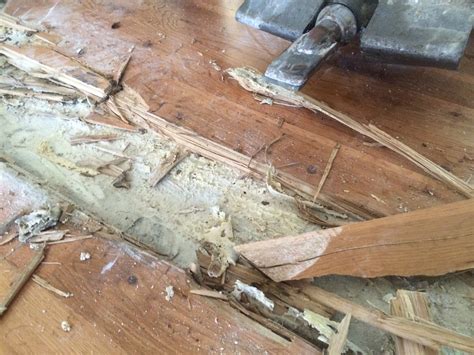 Old Wood Floor Repair – Flooring Blog