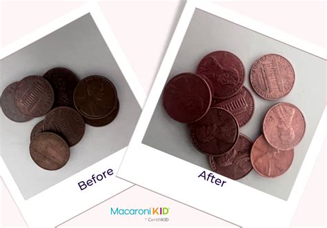 STEAM Fun: How To Clean a Penny | Macaroni KID Midcoast