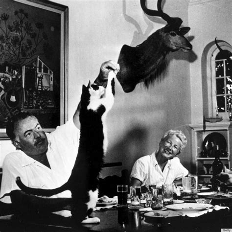 26 Interesting Vintage Photos of Ernest Hemingway With His Beloved Cats ...