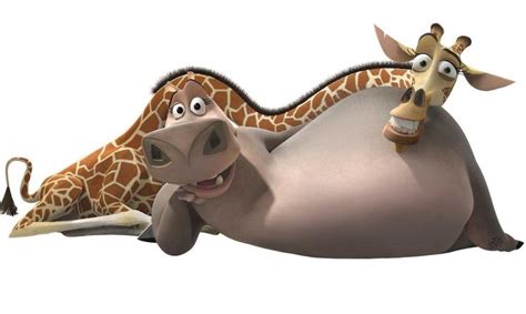 Melman & Gloria’s love story in Madagascar is one of determination. Description from dadofdivas ...