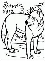 Wolf Child  Coloring Pages For Kids sketch template