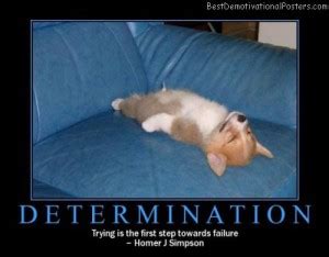 Determination - Motivational Poster