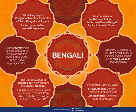 Bengali Language Infographics