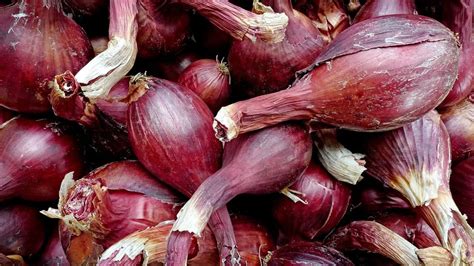 Can I plant last year’s shallots? - Gardening Channel