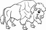 Buffalo Coloring Pages For Kids At GetColoringscom  Free Printable sketch template