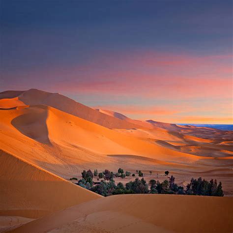 Gurun Sahara Foto Stok, Potret & Gambar Bebas Royalti - iStock