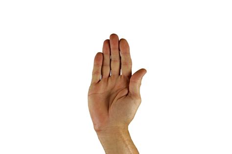 Hand Stop Sign Png