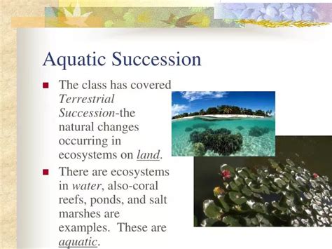 PPT - Aquatic Succession PowerPoint Presentation - ID:6834813