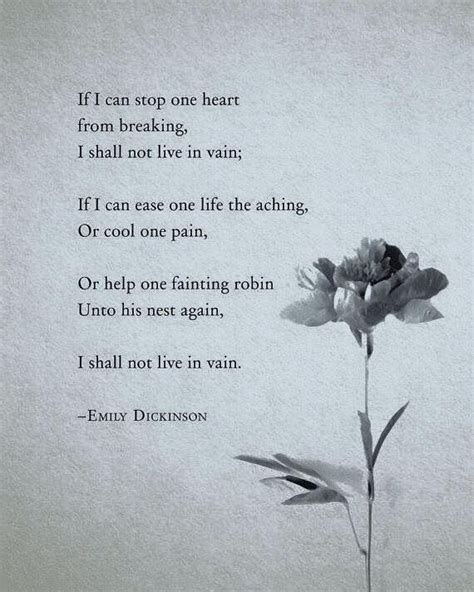 Emily Dickinson | Emily dickinson quotes, Dickinson poems, Emily dickinson poems