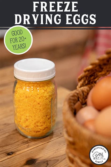 Freeze Dried Eggs - Everything You Need to Know — Homesteading Family