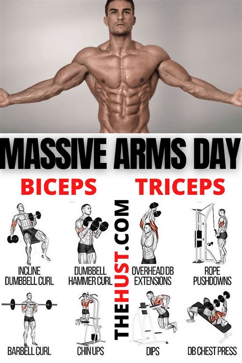 Complete arms workout plan | Biceps workout, Bicep and tricep workout, Arm day workout