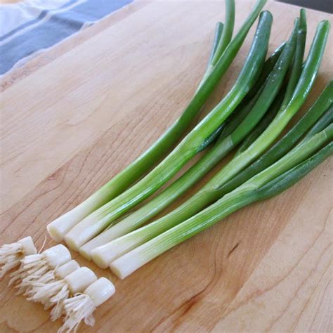 DIY An Endless Supply of Green Onions | see how to regrow onions without a garden or a green ...