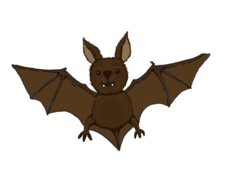 Flying Bat Gif
