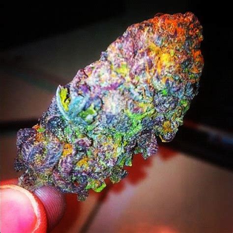 Stoner's For Life Marijuana Chronicles: Fruity Pebble!!!