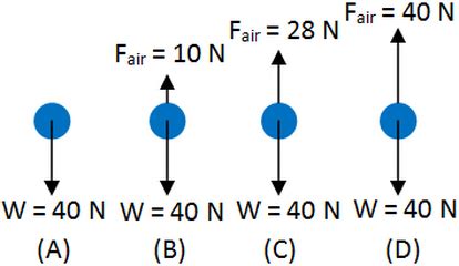 Free Fall - Excel@Physics