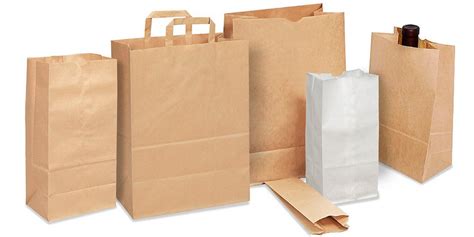 Biodegradable Paper Bags, पेपर क्राफ्ट बैग in Anand Vihar, Delhi , Multi M Enterprises | ID ...