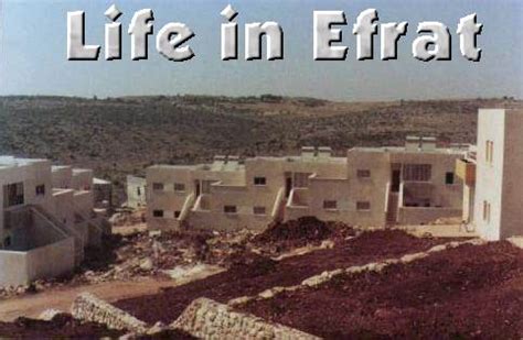 life in Efrat, Israel