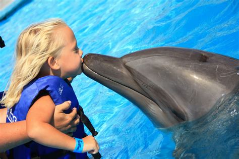 The Gidley Girls: Swimming with Dolphins