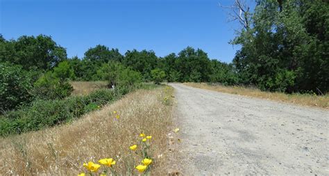 Rolling in an RV - Wheelchair Traveling......: Oroville Wildlife Area