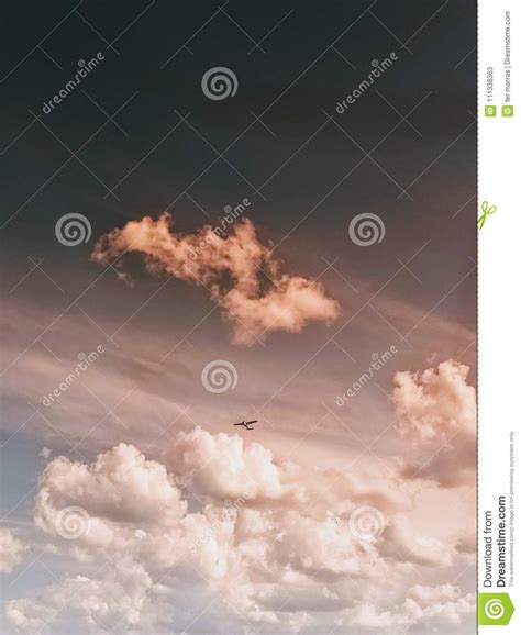 Plane Flying in Sky White Clouds Storm Stock Image - Image of plane ...