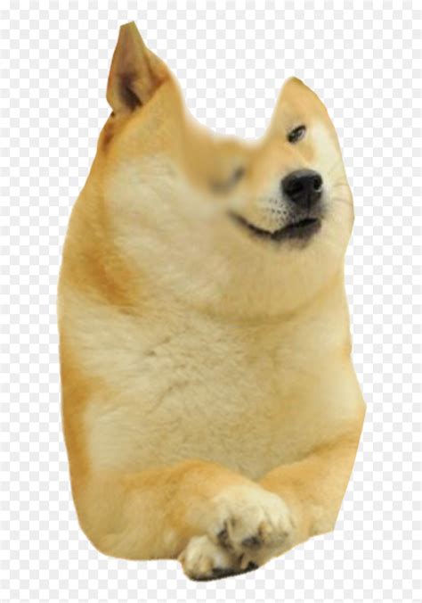 Buff Doge Meme Template