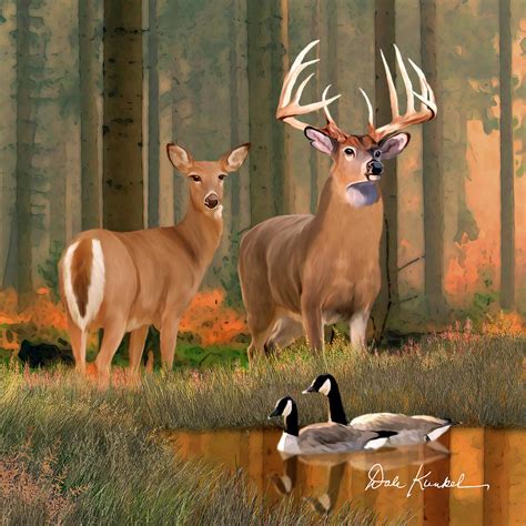 Whitetail Deer Art Squares - Morning Glory Painting by Dale Kunkel Art ...