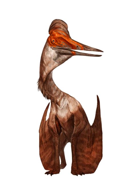 Quetzalcoatlus - Pathfinder PFRPG DND D&D 3.5 5th ed d20 fantasy | Paleo art, Prehistoric ...