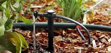 What Type of Irrigation System Should I Get? Part 2–A Look at Micro ...