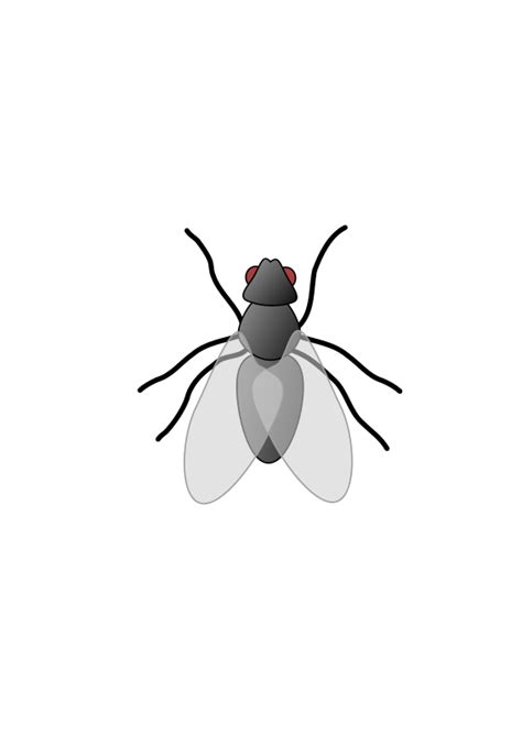 Free Clipart: Fly 01 | Anonymous | Free clip art, Free graphics, Vector free