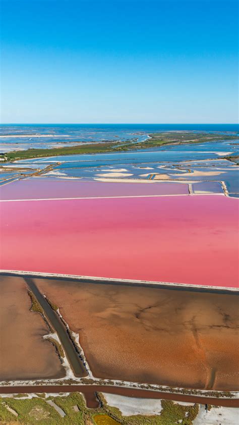 Pink salt lakes in camargue an off the beaten path destination in france – Artofit