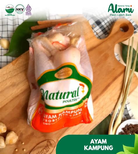 Ayam Kampung Natural Poultry - Toko Belanja Segar