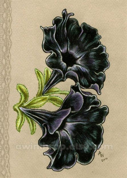 Pin by Emily Davis on inked | Petunia tattoo, Black petunias, Petunias