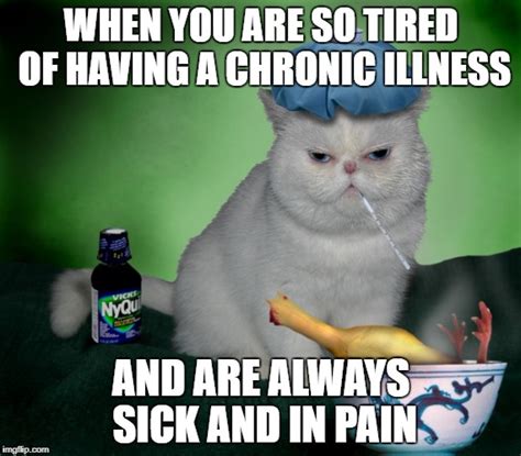 Sick Cat Memes - Imgflip