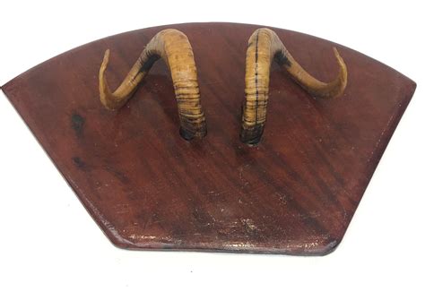 Lot 295 - A pair of mounted rams horns.