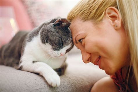 Do Cats Like Baby Talk? Here's What Experts Say.