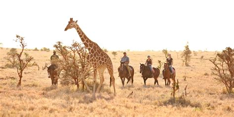 The Lewa Wildlife Conservancy | Kenya wildlife Safaris | Kenya Tours