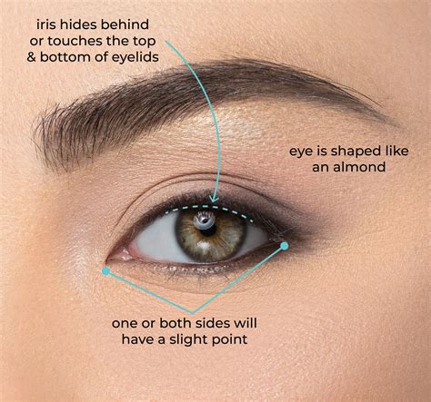 Eye Shape Guide – House of Lashes®