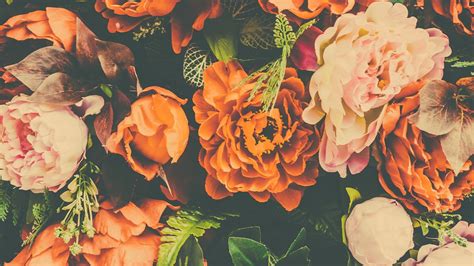 25 Selected aesthetic orange flower wallpaper You Can Save It Free Of Charge - Aesthetic Arena