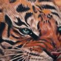 Tatouage Bras Réaliste Tigre par Corpse Painter