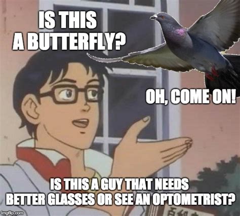 Is this a butterfly? - Imgflip