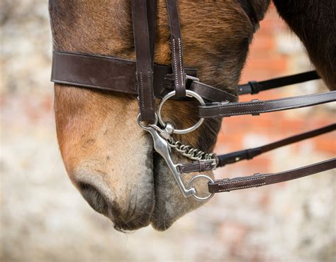 How To Fit Double Bridle Bits - FitnessRetro