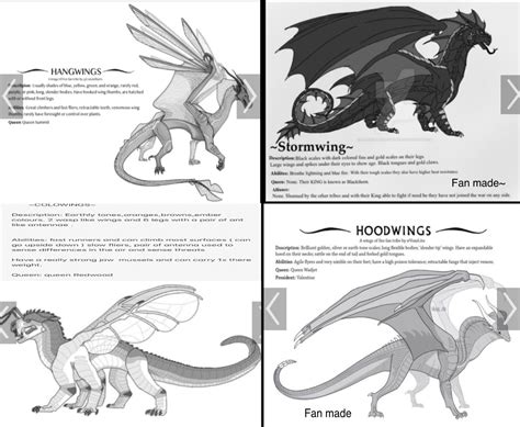 Guys look at these really cool fan art tribes I found ( not mine ) : r/WingsOfFire